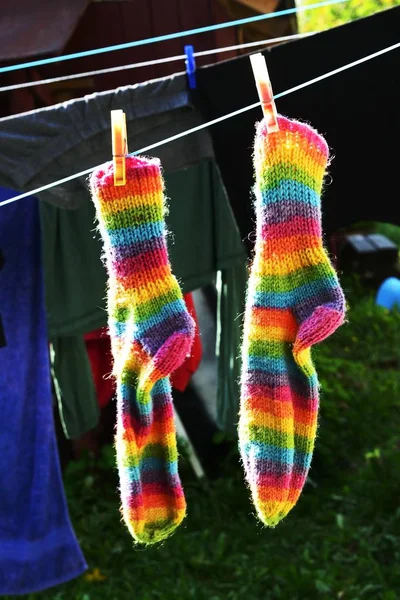 Rainbow Strumpor Hänga Klädstreck Utomhus — Stockfoto