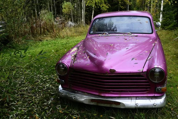 Εγκαταλελειμμένο Βυσσινί Παλιό Αυτοκίνητο Στο Δάσος — Φωτογραφία Αρχείου