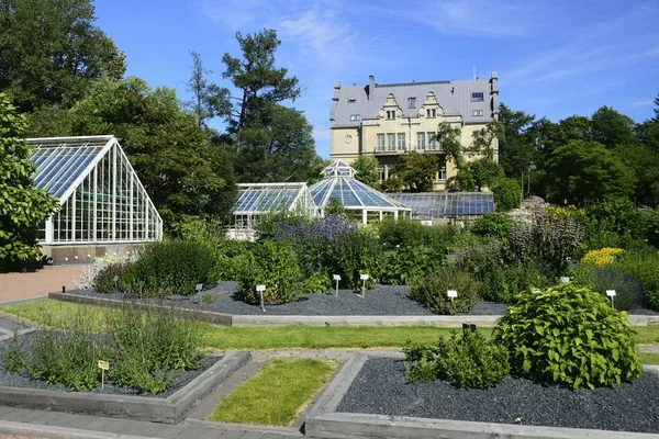 Helsinki Finlandia Junio 2018 Jardín Botánico Universidad Helsinki Kaisaniemi Helsinki — Foto de Stock