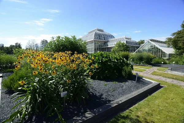 Helsinki Finlandia Czerwca 2018 Ogrodu Botanicznego Uniwersytetu Helsinkach Kaisaniemi Helsinkach — Zdjęcie stockowe