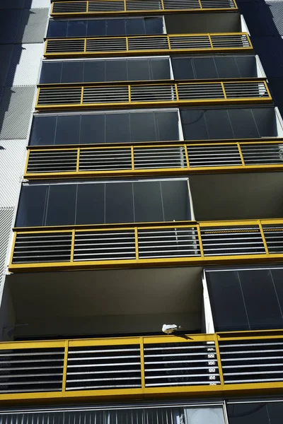 Facade Highrise Building Seagull Balcony — Stock Photo, Image