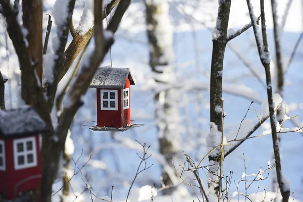 Alimentador Aves Forma Uma Casa Pendurada Ramo Inverno — Fotografia de Stock