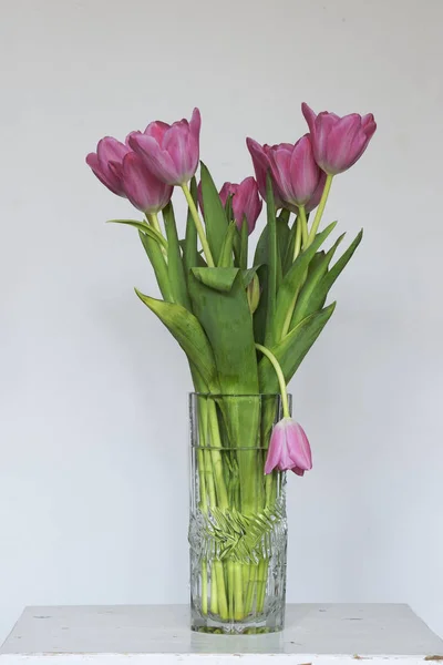 Tulpen in einer Glasvase, eine Tulpe hängt herunter — Stockfoto
