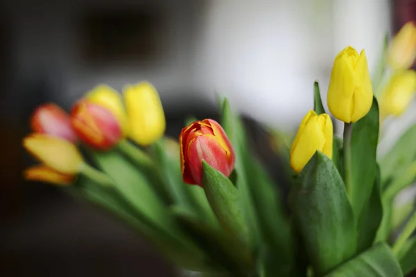 Bouquet di tulipani rossi e gialli — Foto Stock