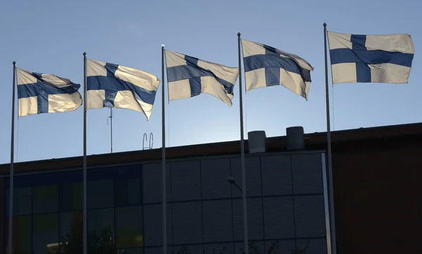 Размахивая флагами Финляндии — стоковое фото