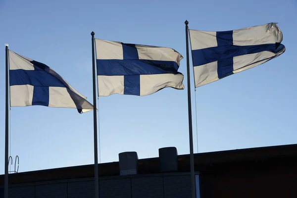 Размахивая флагами Финляндии — стоковое фото