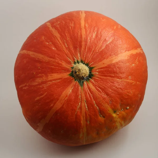 Ripe yellow pumpkin on a white — Stock Photo, Image