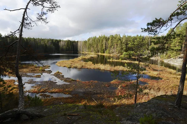 Vue sur un lac marécageux en automne — Photo