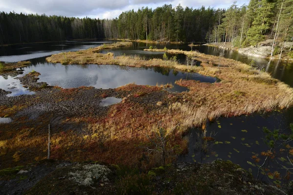 Vista de un lago pantanoso en otoño —  Fotos de Stock