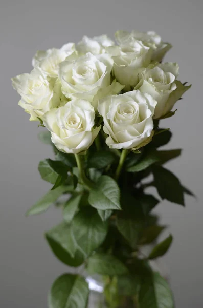 Bouquet of white roses in a glass jar — Stock Photo, Image