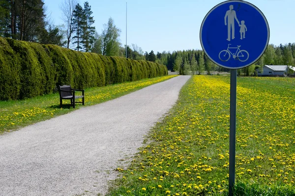 Fiets Wandelpad Langs Heg Finland Zomer — Stockfoto