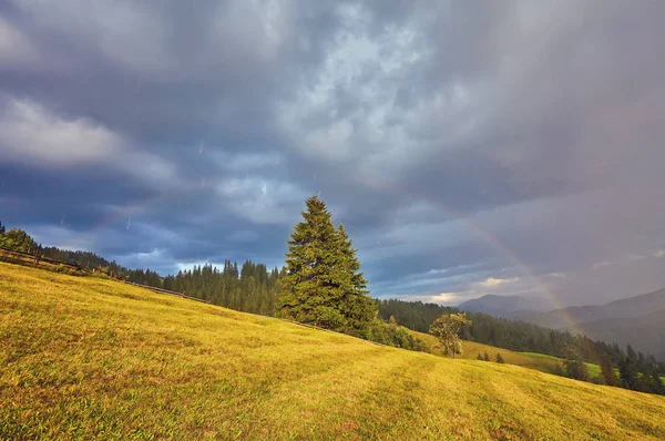 Rainbow and sunshine after rain in mountain valley.