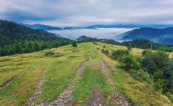 Bergige Landschaft mit bewaldeten Hügeln. schöner Sommer — Stockfoto