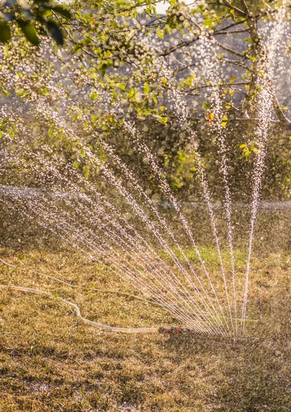 Apparaat voor bevloeiing tuin. Irrigatiesysteem - techniek van het water in de tuin. — Stockfoto