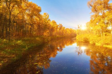 Sakin nehirde yansıtan sabah güneş ışığı altında sonbahar renkli ağaçlar