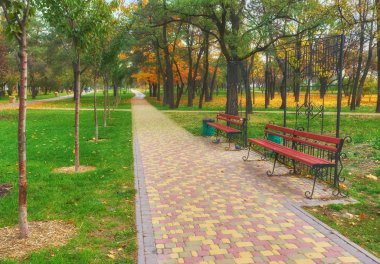 Sonbahar sezonu renkli yeşillik ve ağaçları ile bir Bank.