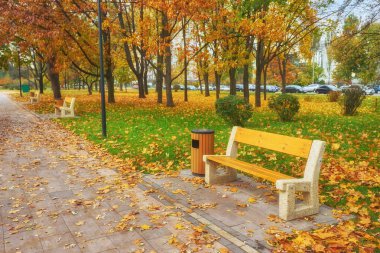 Sarı sonbaharda sokağın ortasına park et.