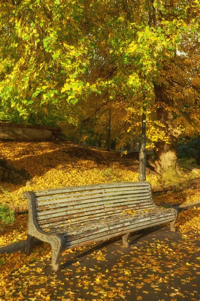 Banco Temporada Otoño Con Colorido Follaje Árboles —  Fotos de Stock