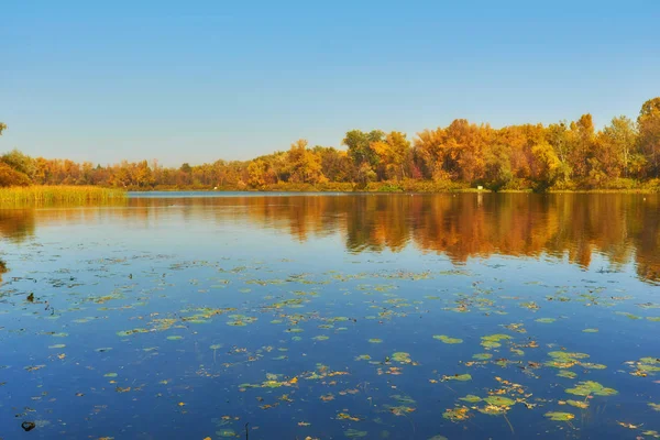 Árboles Coloridos Otoñales Bajo Luz Del Sol Mañana Reflejándose Río — Foto de Stock