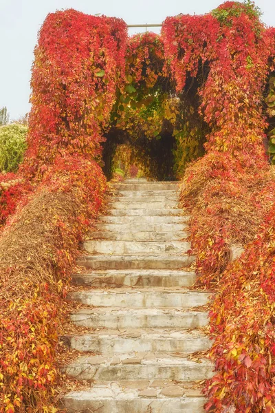 秋天阳光明媚的日子 台阶上的台阶在老公园里 许多落叶 金色的自然背景 — 图库照片