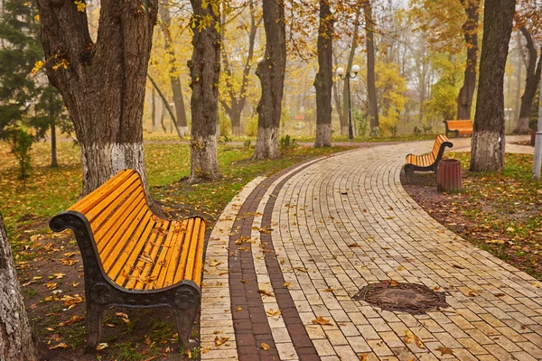 Eine Bank Herbst Mit Buntem Laub Und Bäumen — Stockfoto