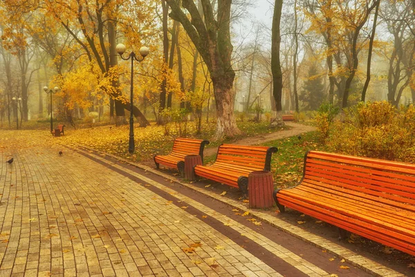 Eine Bank Herbst Mit Buntem Laub Und Bäumen — Stockfoto