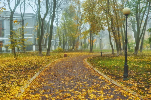 公园里美丽的浪漫小巷 树木五彩斑斓 阳光灿烂 秋季自然背景 — 图库照片