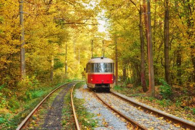 Yönlendirme sonbahar orman yolu boyunca kırmızı retro tramvay gider