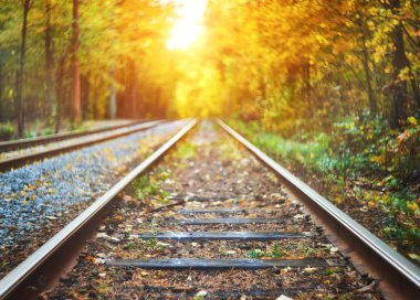 Terk edilmiş tren sonbahar renkli ağaçlar altında. Aşk tüneli. Arka plan bulanık