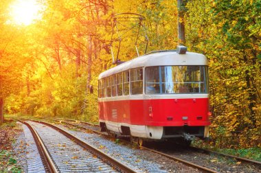 Tramvay yolcu ile şehirde otobüs durağındaki sabahın erken saatlerinde yola. Yönlendirme güzel sonbahar orman yolu