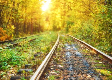 Terk edilmiş tren sonbahar renkli ağaçlar altında. Aşk tüneli. Arka plan bulanık
