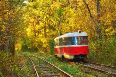 Yönlendirme sonbahar orman yolu boyunca kırmızı retro tramvay gider
