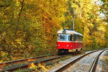 Tramvay yolcu ile şehirde otobüs durağındaki sabahın erken saatlerinde yola. Yönlendirme güzel sonbahar orman yolu