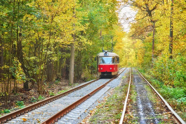 Yönlendirme Sonbahar Orman Yolu Boyunca Kırmızı Retro Tramvay Gider — Stok fotoğraf