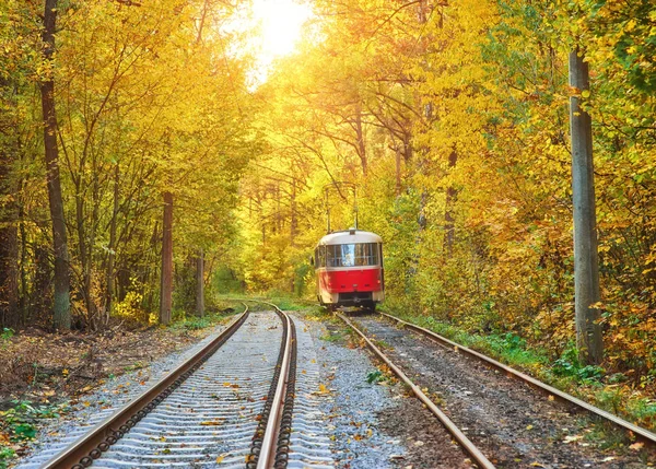 Tram Passengers Departs Bus Stop City Early Morning Route Beautiful — Stock Photo, Image