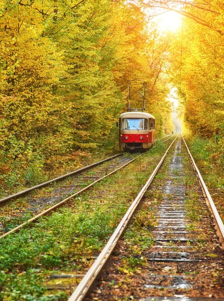 Tramvay Yolcu Ile Şehirde Otobüs Durağındaki Sabahın Erken Saatlerinde Yola — Stok fotoğraf