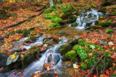 hızlı dağ nehir Güz. Derma ahşap arka plan