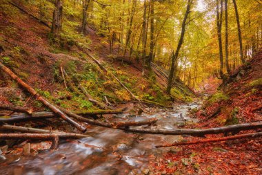 hızlı dağ nehir Güz. Derma ahşap arka plan
