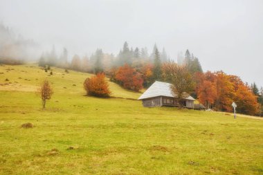 Renkli sonbahar manzara dağ köyünde. Karpat Dağları sisli sabah. Ukrayna, Europe.