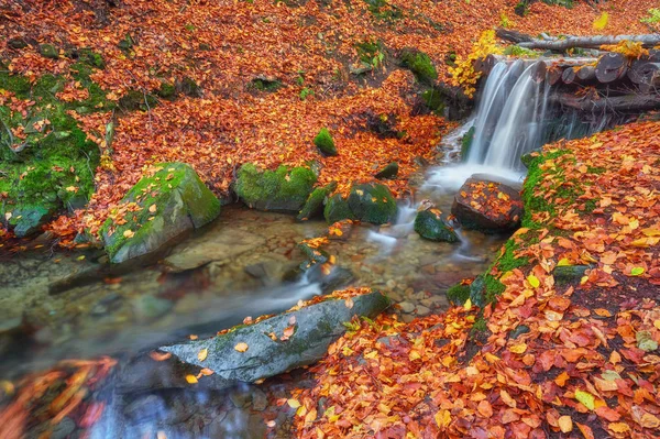 Beautiful Waterfall Forest Juicy Autumn Landscape — Stock Photo, Image