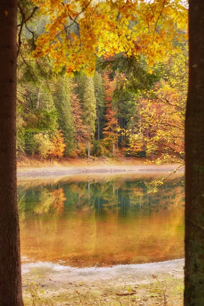 Árvores Outono Brilhantes Com Seu Reflexo Água — Fotografia de Stock