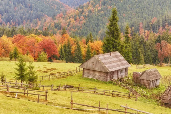 Barevné Podzimní Krajina Horské Vesničce Mlhavé Ráno Karpatských Horách Ukrajina — Stock fotografie