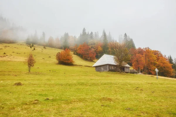 Colorful Autumn Landscape Mountain Village Foggy Morning Carpathian Mountains Ukraine — Stock Photo, Image