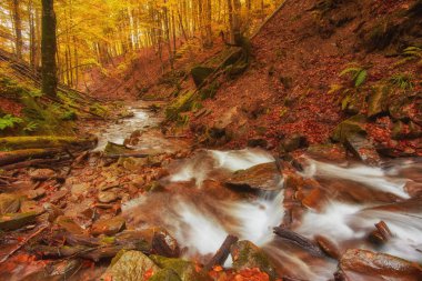 hızlı dağ nehir Güz. Derma ahşap arka plan