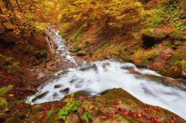 Güzel şelale ile kırmızı ve turuncu renkli sonbahar ormandaki nehir dağ, günbatımında bırakır. Doğa manzara