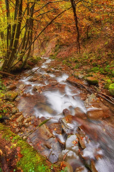 Fiume Montagna Rapido Autunno Sfondo Legno Colorato — Foto Stock