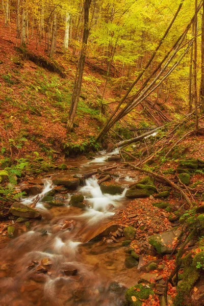 Schnellen Gebirgsfluss Herbst Farbenfroher Holz Hintergrund — Stockfoto