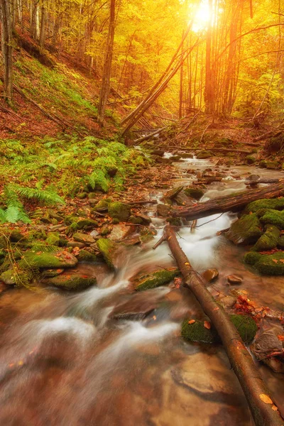 Snabb Berg Flod Höst Colorfull Trä Bakgrund — Stockfoto