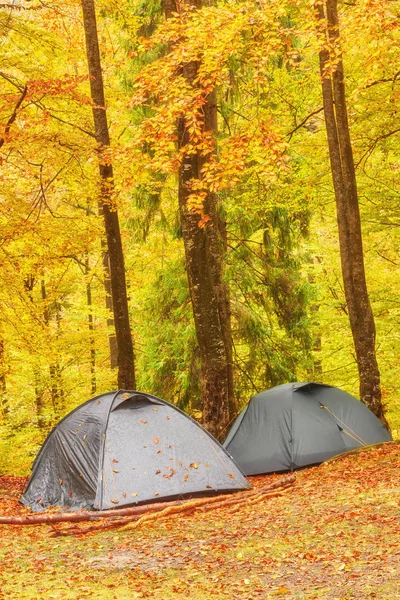 Tourist camp in the autumn forest with red and yellow foliage. Autumn landscape with a tourist tent.