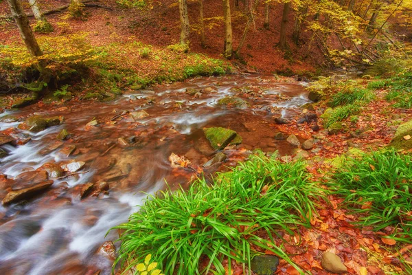 Autumn creek woods with yellow trees foliage and rocks in forest mountain.